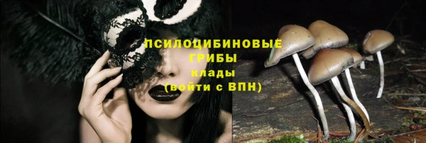 спиды Медвежьегорск
