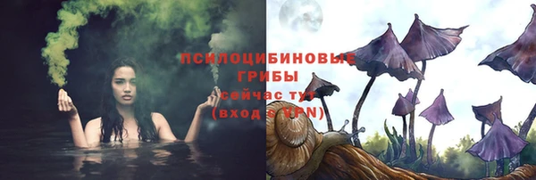 спиды Медвежьегорск