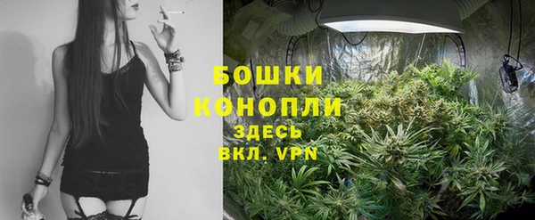 спиды Медвежьегорск