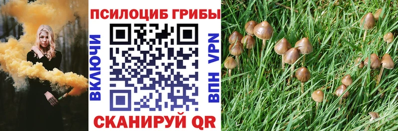 Псилоцибиновые грибы Psilocybine cubensis Ясный